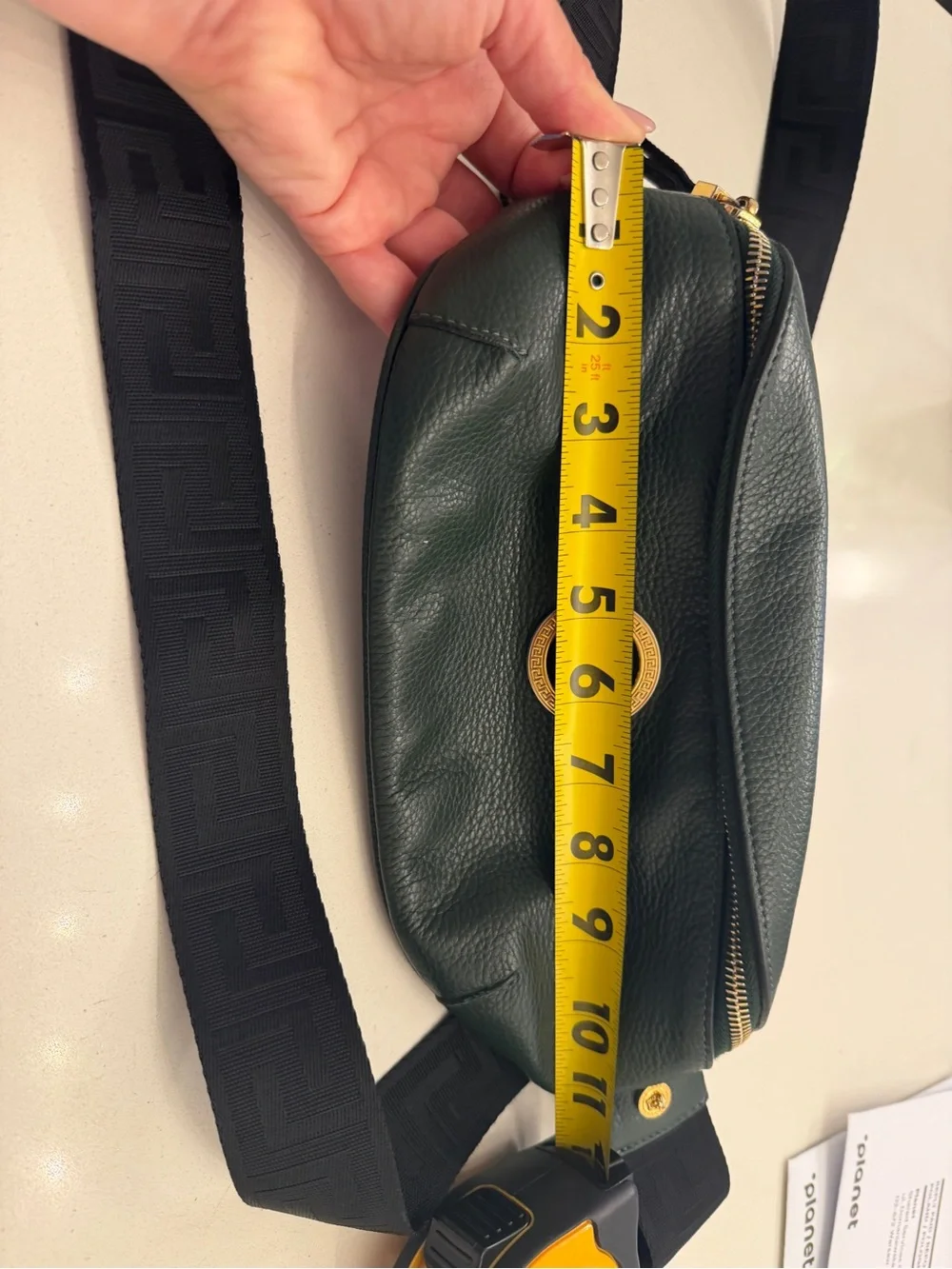 Grained Calfskin Vanitas Medea Belt Bag Green